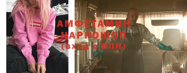 a pvp Бородино