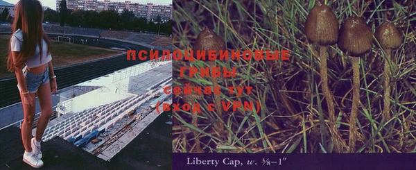 метадон Белокуриха