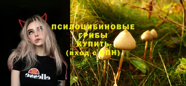круглые Бронницы