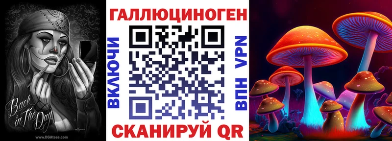 Галлюциногенные грибы Psilocybine cubensis  Баксан 