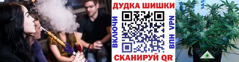 Канабис конопля  Баксан 